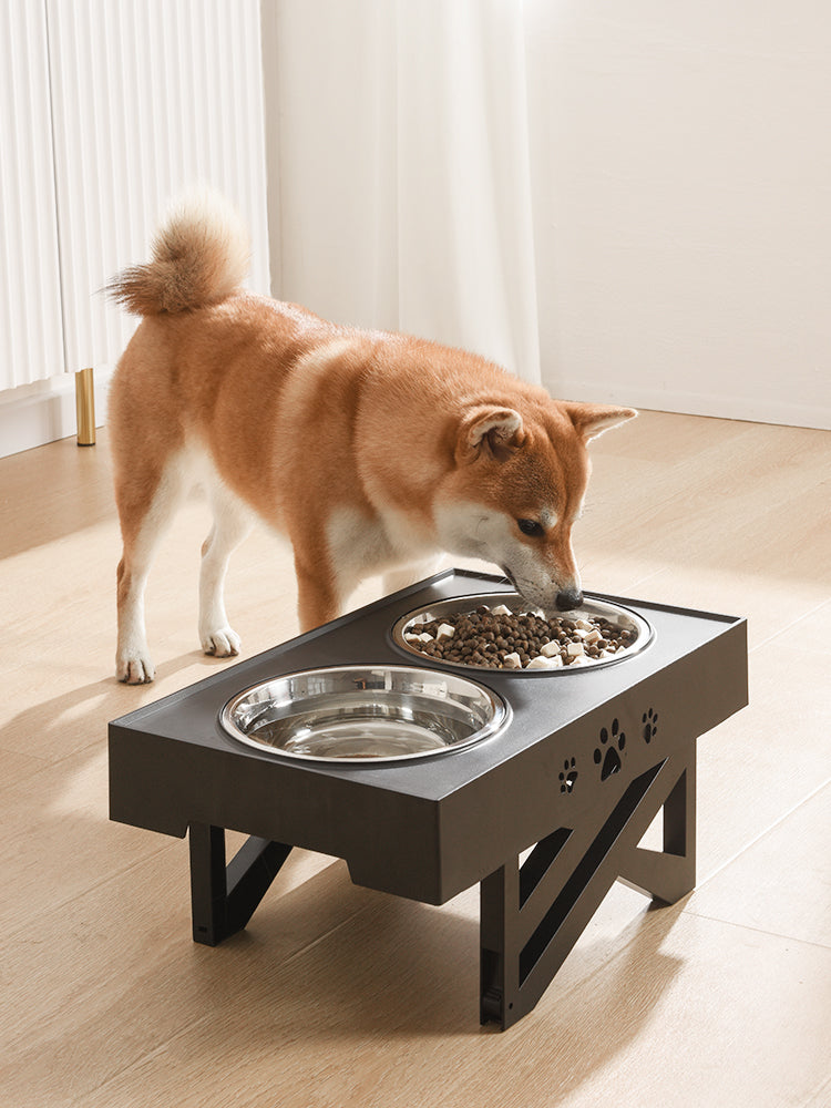 Shiba inu eating from black Lorzini elevated dog bowls on wood floor