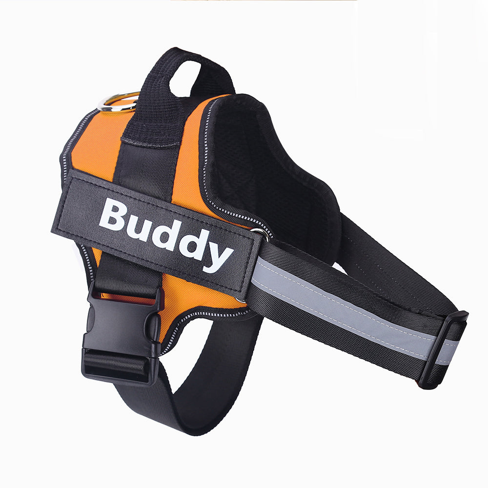 Lorzini adjustable no-pull harness with embroidered name patch