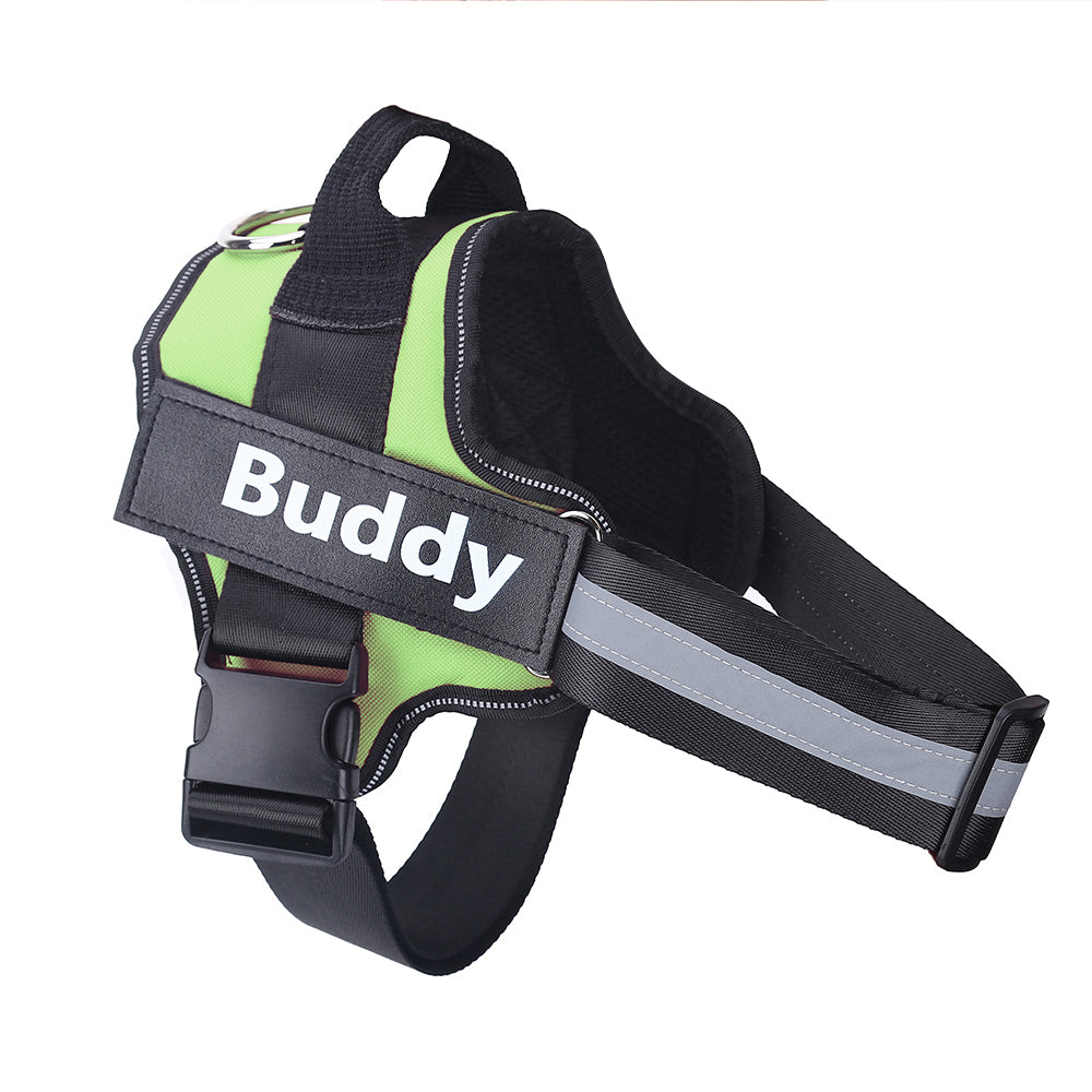 Personalized dog harness with reflective straps for night walks