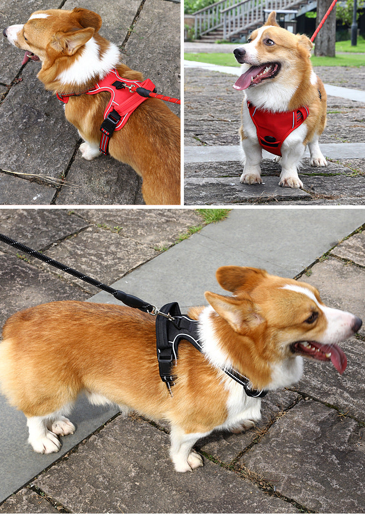 Dog wearing Lorzini no-pull reflective harness with control handle outdoors