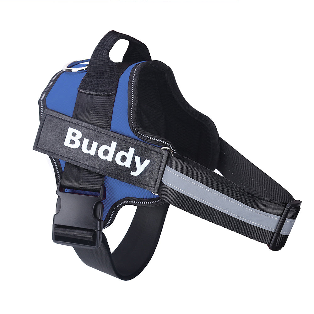 Personalized reflective dog harness vest with name on a dog