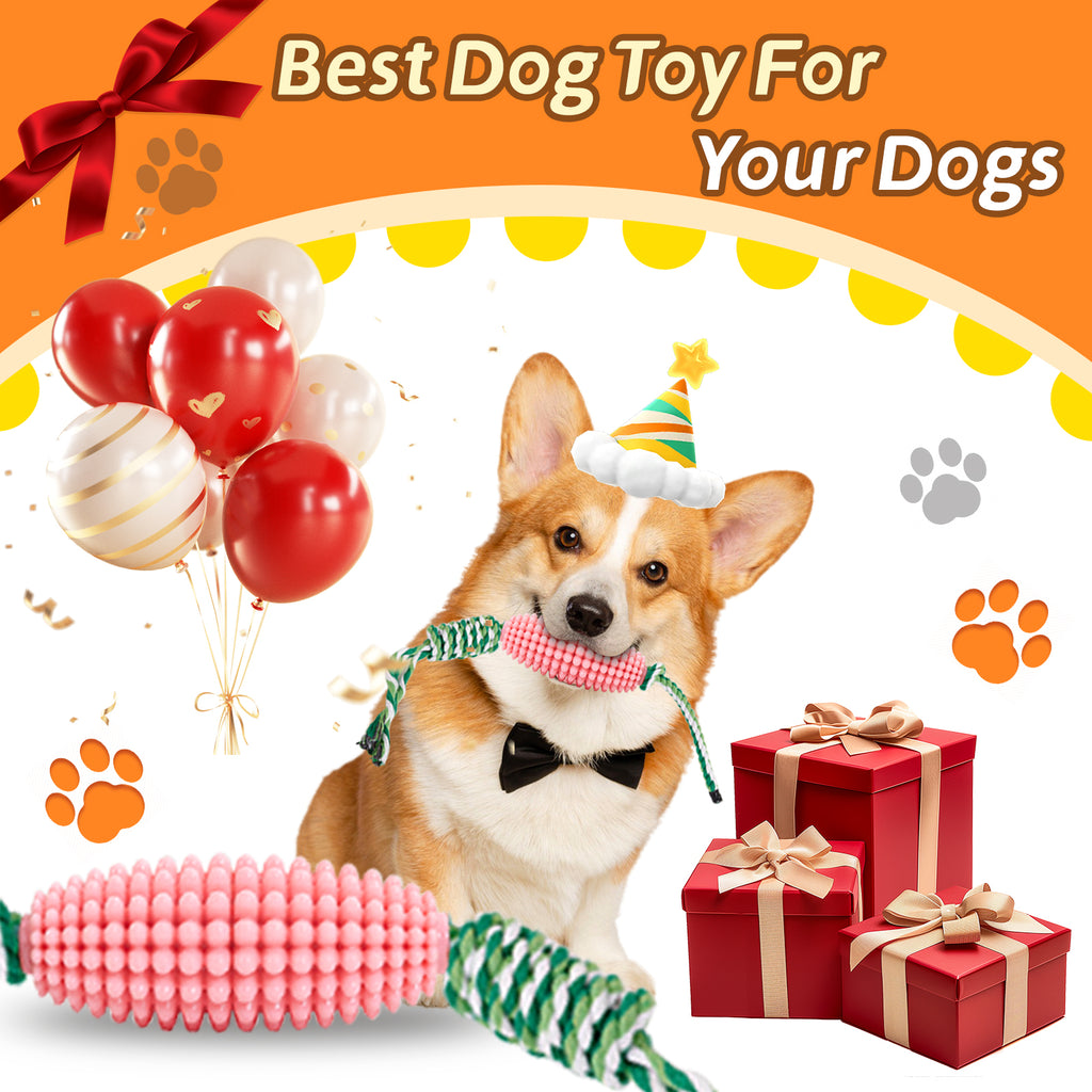 Dog dental chew toy with cotton rope for tug of war