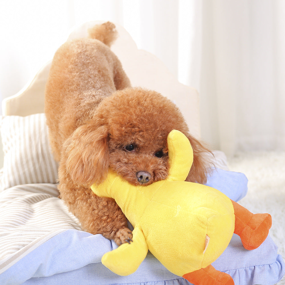 Yellow plush duck dog toy close-up of the face