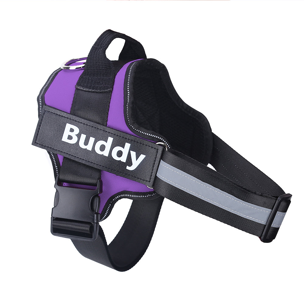 Lorzini no-pull dog harness — chest clip keeps pressure off the neck