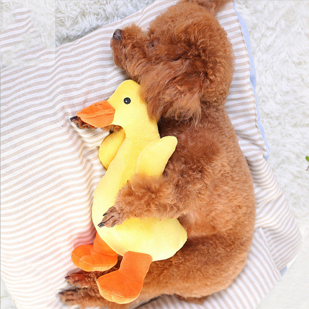 Yellow plush duck dog toy cuddled by a sleeping poodle