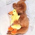 Yellow plush duck dog toy cuddled by a sleeping poodle