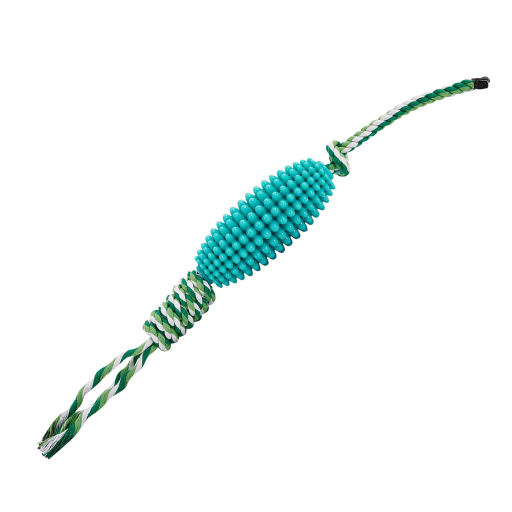 Lake blue corn dog toothbrush chew toy with cotton rope