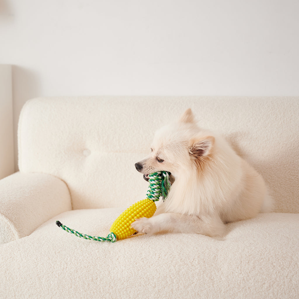 Four color options of the corn dog toothbrush chew toy