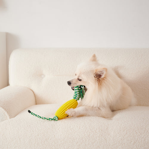 Four color options of the corn dog toothbrush chew toy