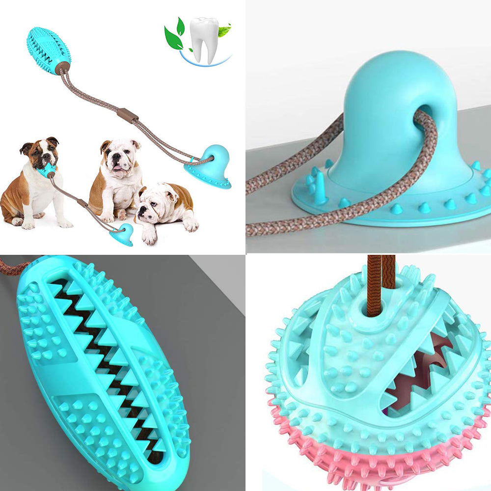 Suction cup dog toy anchored to a smooth floor for solo tug-of-war