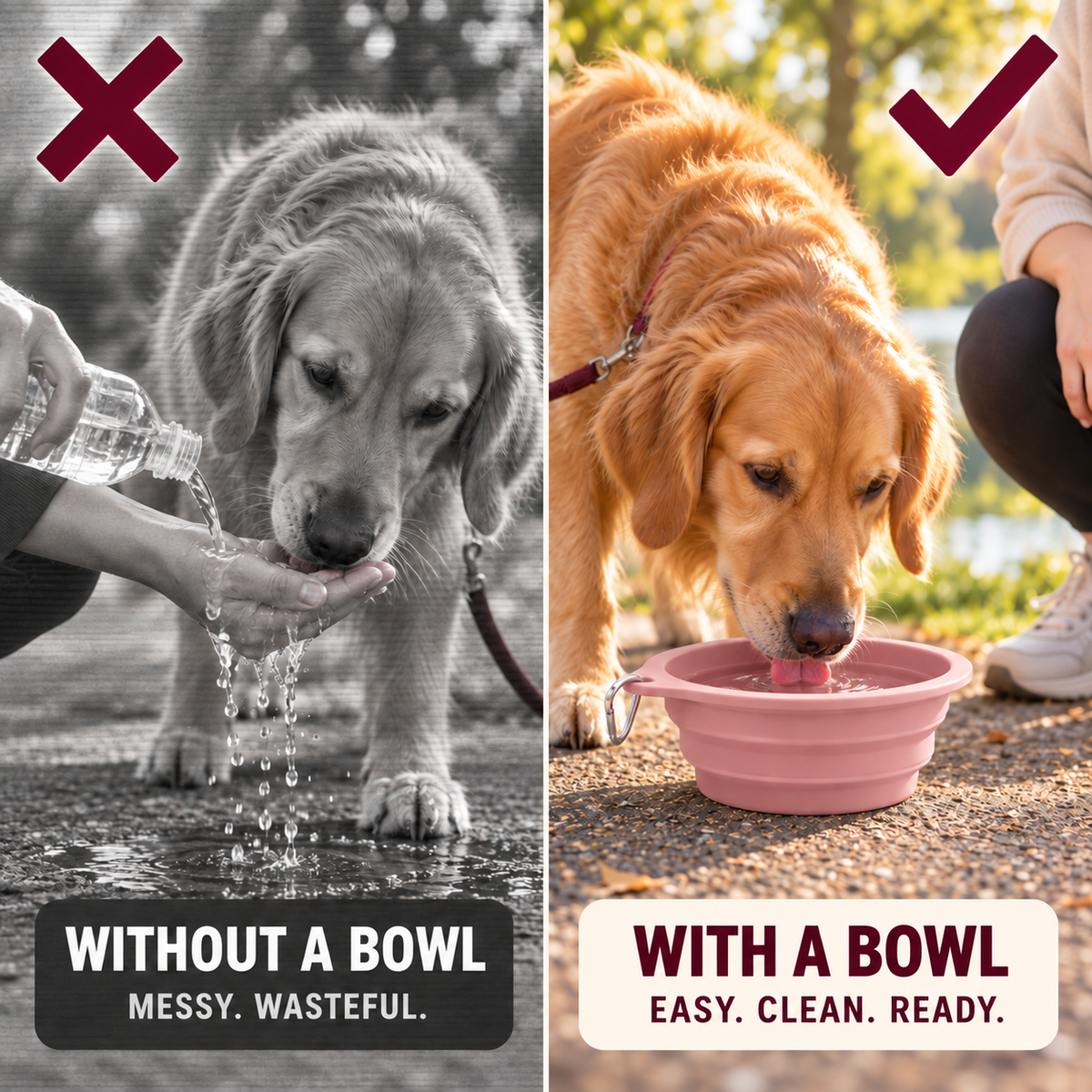 Dog drinking messily without a bowl versus cleanly from a Lorzini travel dog bowl
