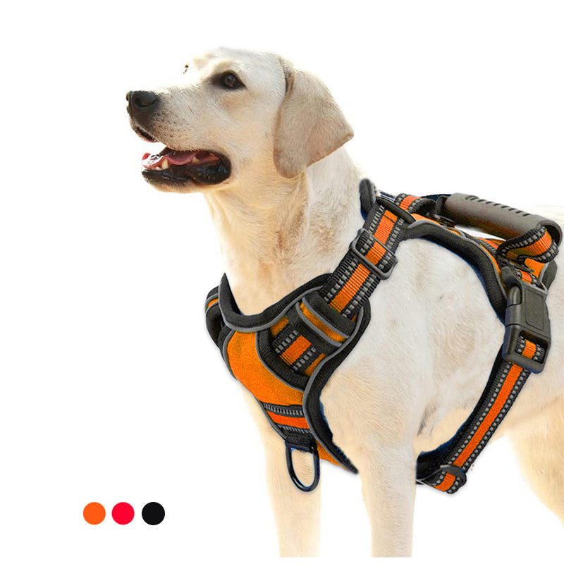 Lorzini no-pull reflective dog harness and leash set