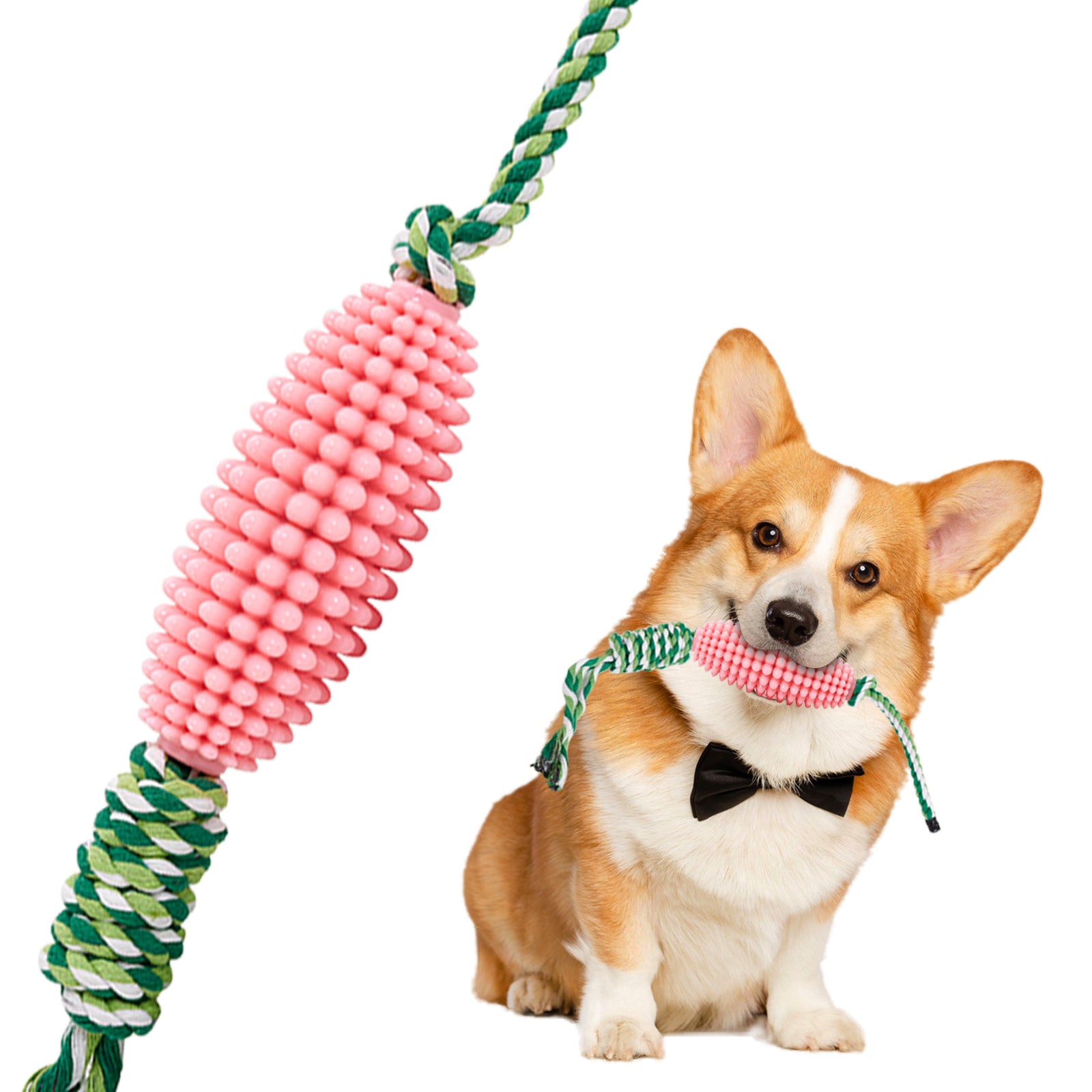 Dog playing with a green Lorzini corn toothbrush chew toy