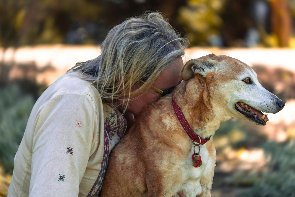 When your dog looks at you — you both feel it. And science has proof.