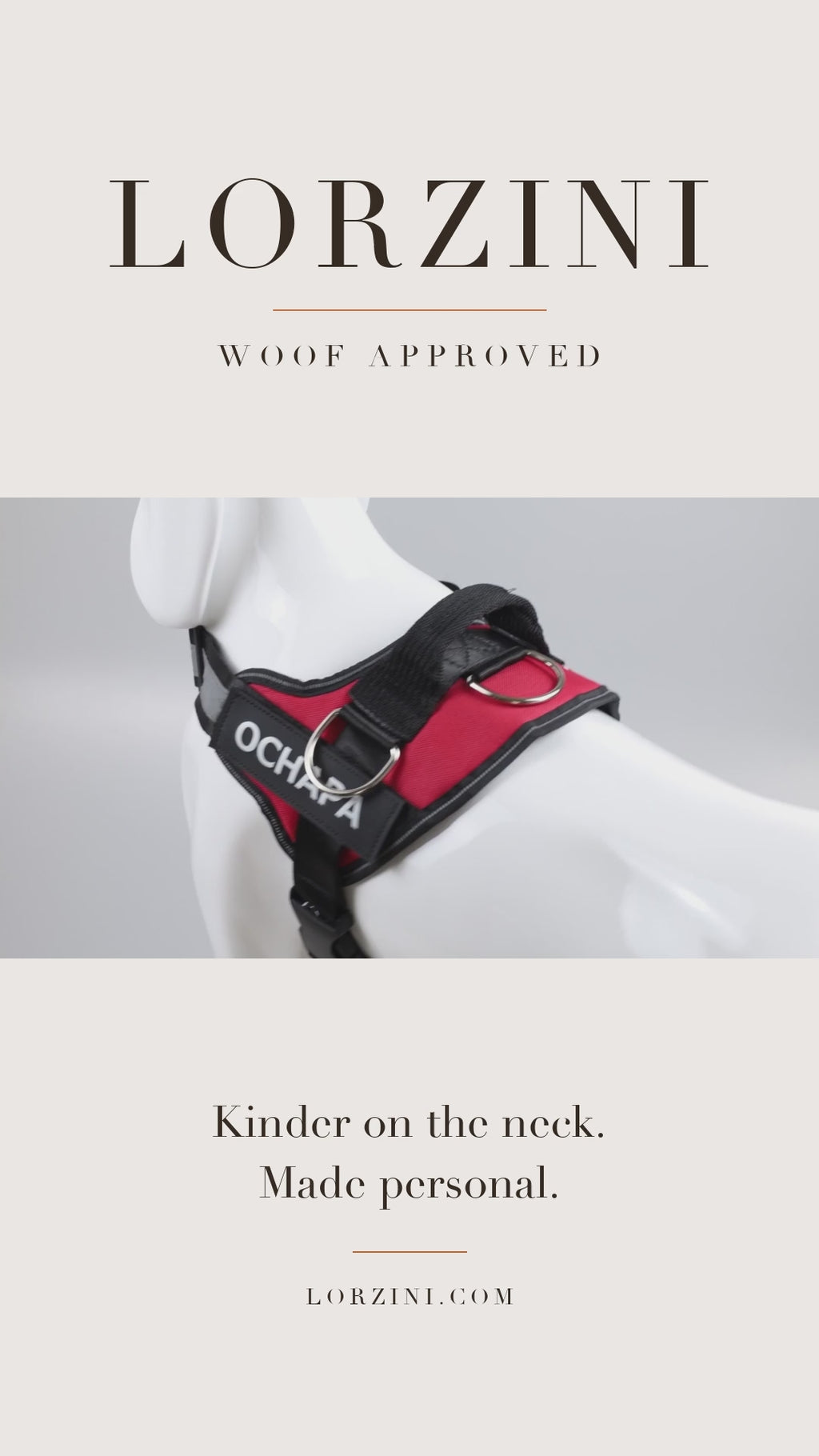 Lorzini personalized no-pull dog harness studio video — top handle, reflective straps and custom name patch