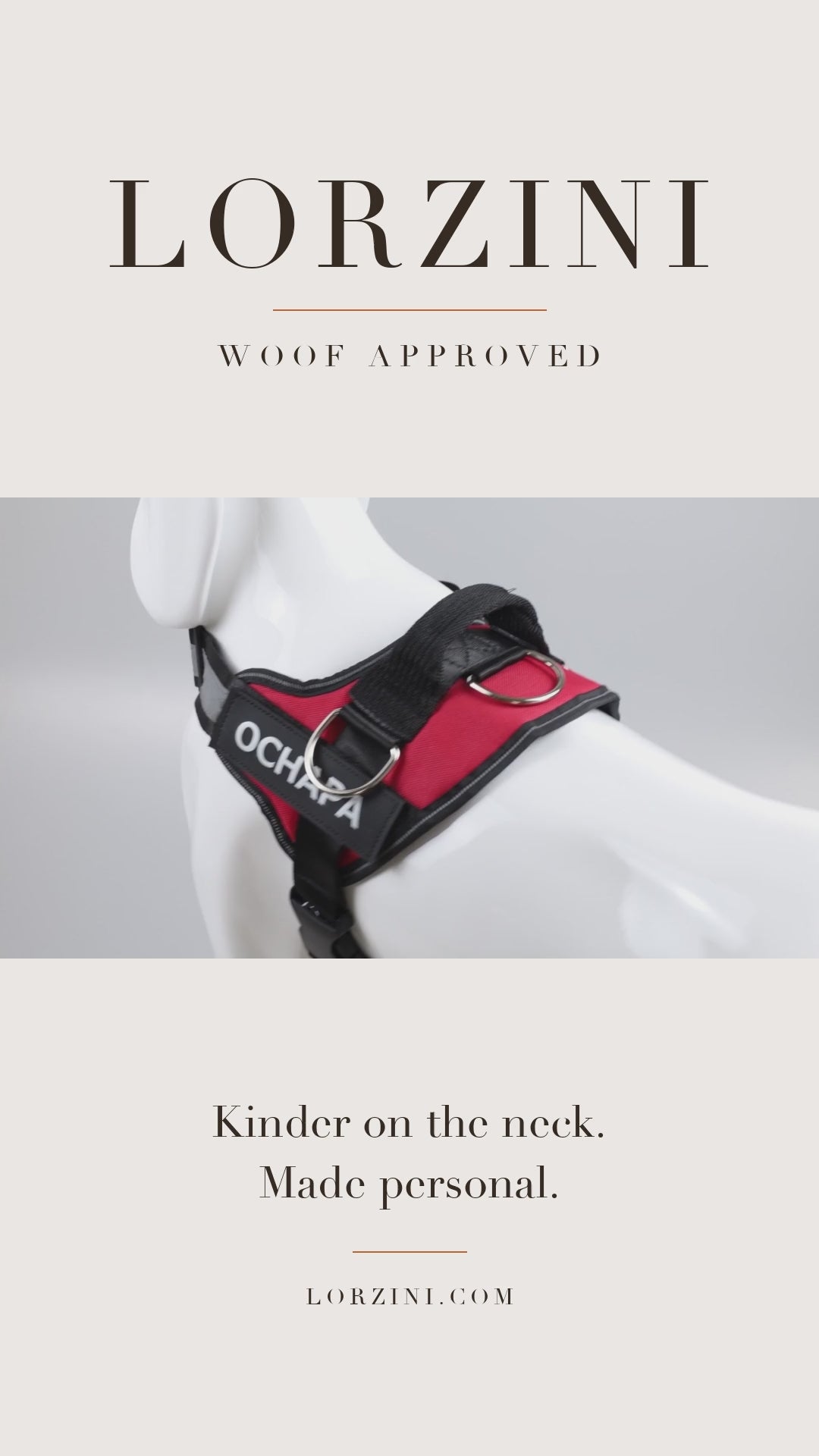 Lorzini personalized no-pull dog harness studio video — top handle, reflective straps and custom name patch