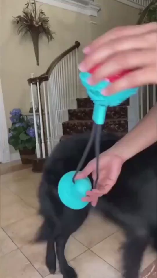 Dog using the Lorzini suction cup dog toy for teeth cleaning and treats