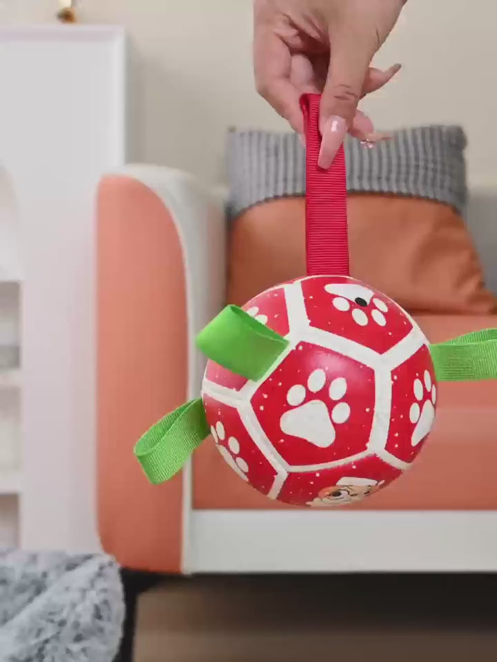 Dog playing fetch and tug with the Lorzini soccer ball with grab straps