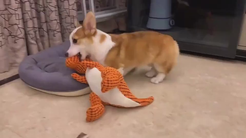 Video: close-up of the Lorzini plush squeaky dinosaur dog toy